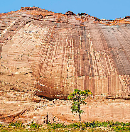 Canyon de Chelly National Monument, Arizona 7509
