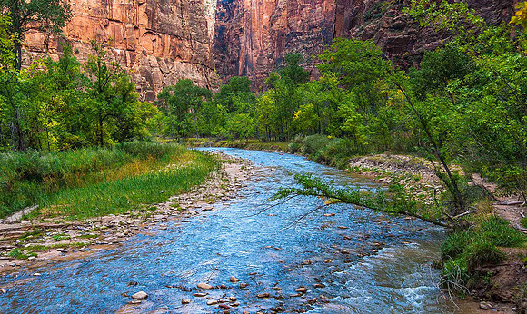 Virgin River, Zion National Park 7815