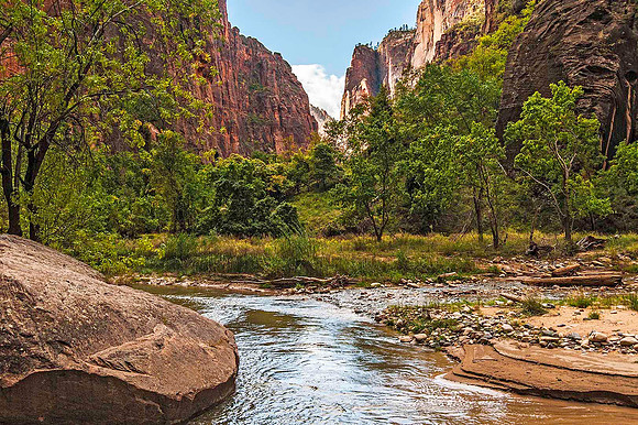 Virgin River, Zion National Park 7820
