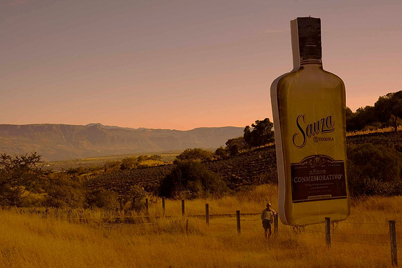 Town of Tequila 2664