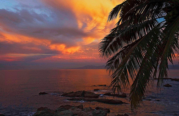 Puerto Vallarta 2695