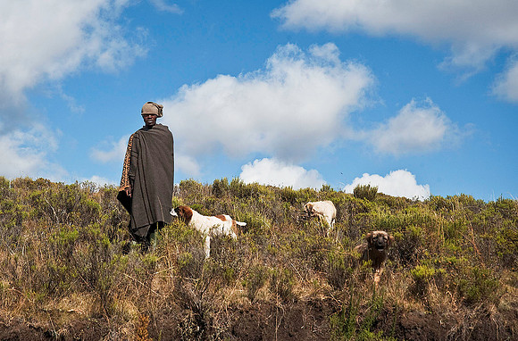 Lesotho 5392