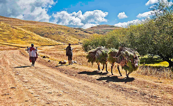 Lesotho 5399