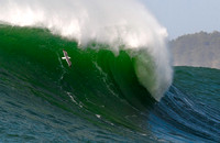 Mavericks 2554