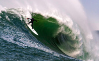 Mavericks 2478