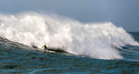 Mavericks 2498