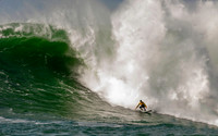 Mavericks 2519