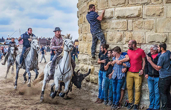 Driving Camargue Bulls through Aigues-Mortes 180137