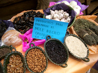 Oaxaca 60
