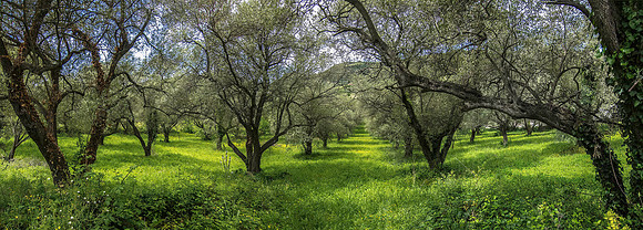 North of Bosa 2942