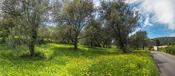 North of Bosa 2954