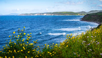 South of  Alghero 2884