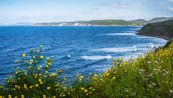 South of  Alghero 2884