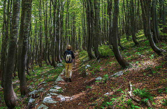 Premuzic Trail, Northern Velebit National Park 00831
