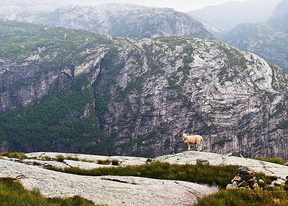 Lysefjord 8583