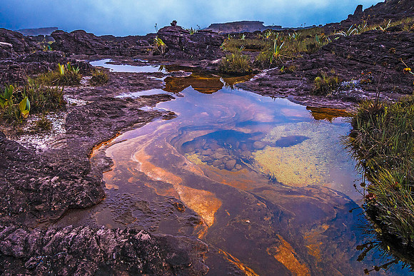 Roraima 03099