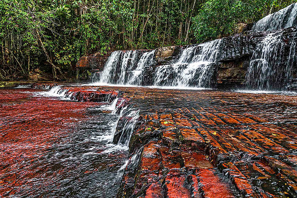 Gran Sabana 2798merge