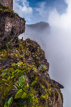 Roraima 03107