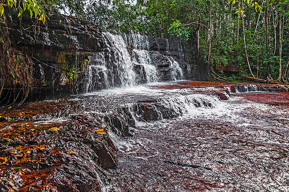 Jasper Creek, Gran Sabana 2789