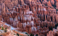 Bryce 09726
