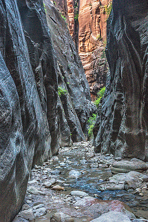 Zion Narrows-Orderville Canyon 09795