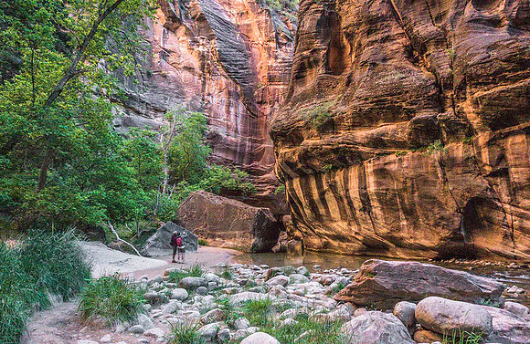 Zion Narrows 09782