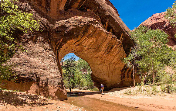 Coyote Natural Bridge 09545
