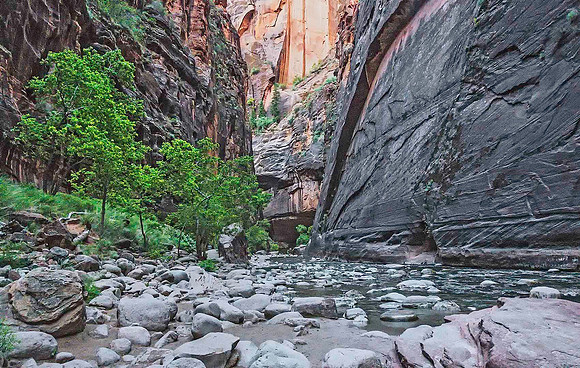 Zion Narrows 09772