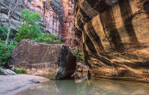 Zion Narrows 09784