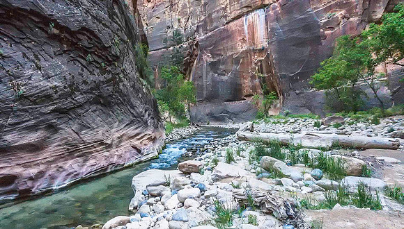 Zion Narrows 09774