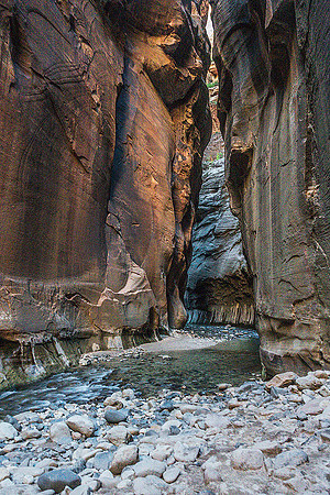 Zion Narrows 09788
