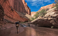 Coyote Gulch 09524