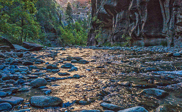 Zion Narrows 09778