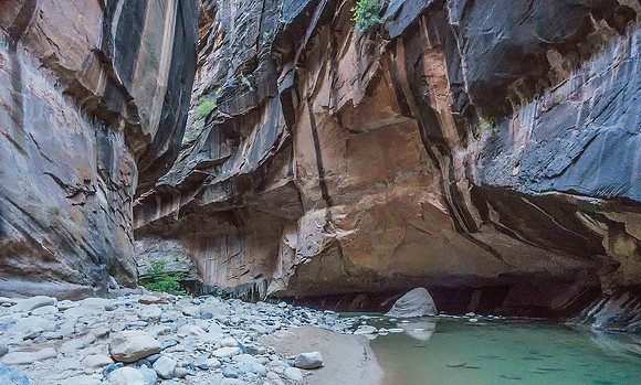 Zion Narrows 09776