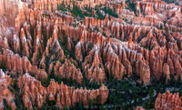Bryce 09736