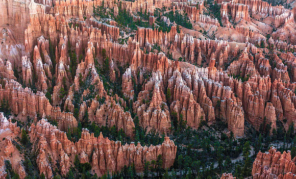 Bryce 09736