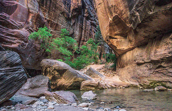 Zion Narrows 09785