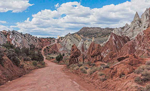Cottonwood Canyon Wash 09484