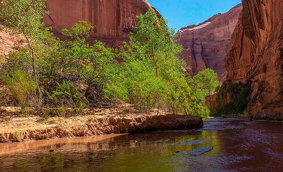 Coyote Gulch 09536