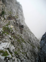 Brenta 4625