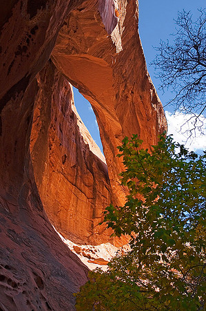 Upper Muley Twist, Capital Reef National Park 2213