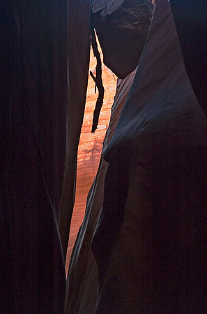 Red Breaks, Grand Staircase-Escalante National Monument 2251