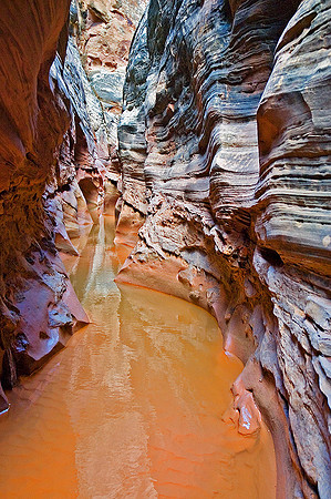 Little Wild Horse Canyon, San Rafael Swell 2338