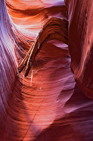 Red Breaks, Grand Staircase-Escalante National Monument 2258