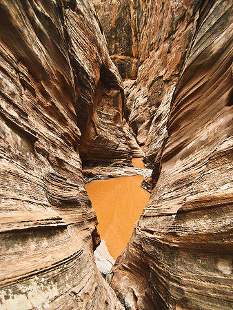 Knotted Rope Canyon 1311