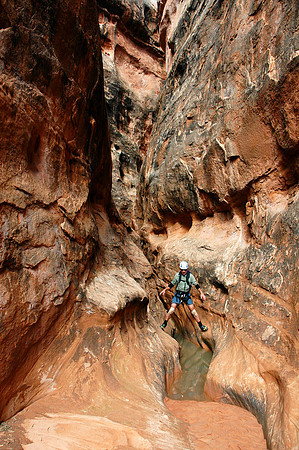 White Roost 6505 (the photographer)
