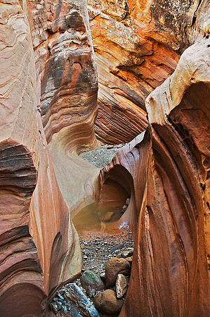 Little Wild Horse Canyon, San Rafael Swell 2320