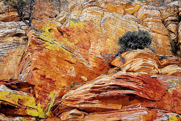 Box Death Hollow Wilderness Area 2154