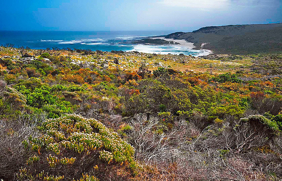 Cape of Good Hope area 5612