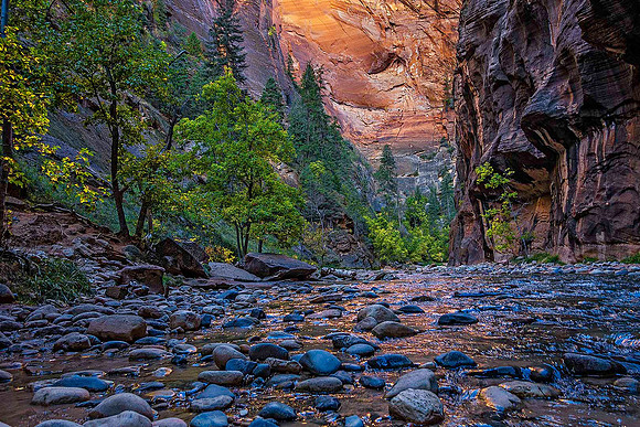 Zion Narrows 04700